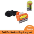 (Dog)-M-Long Hair
