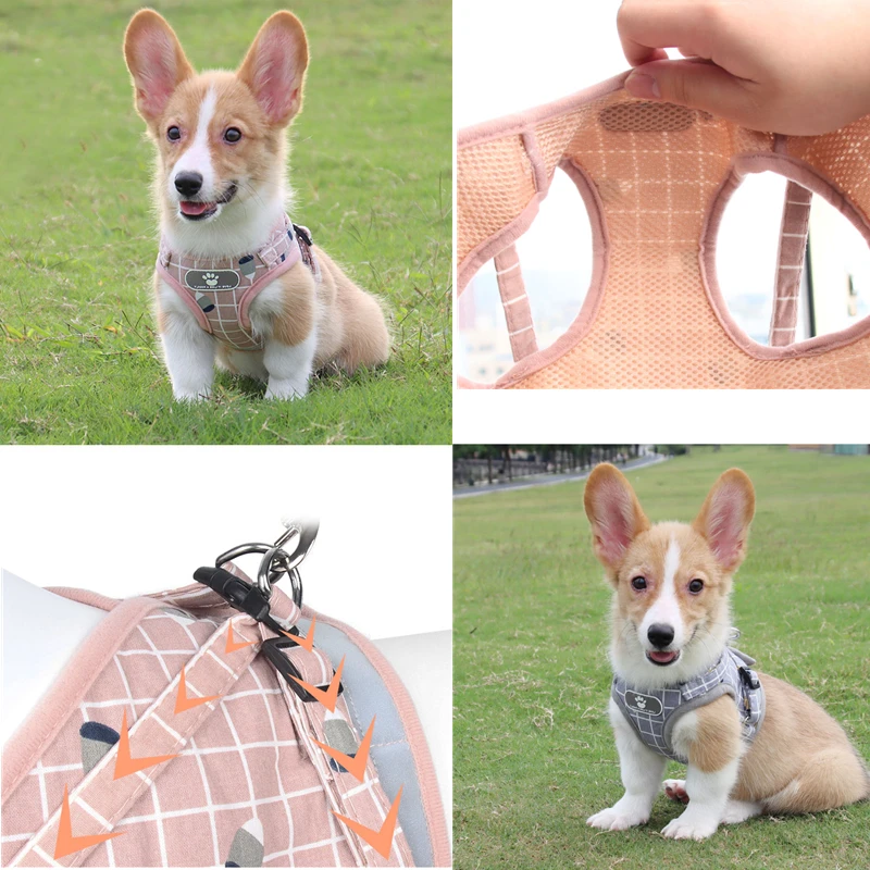 Conjunto de arnés y correa para perro y gato, arnés de pecho para Chihuahua, Bulldog Francés, Pug, chaleco, accesorios - imagen 4