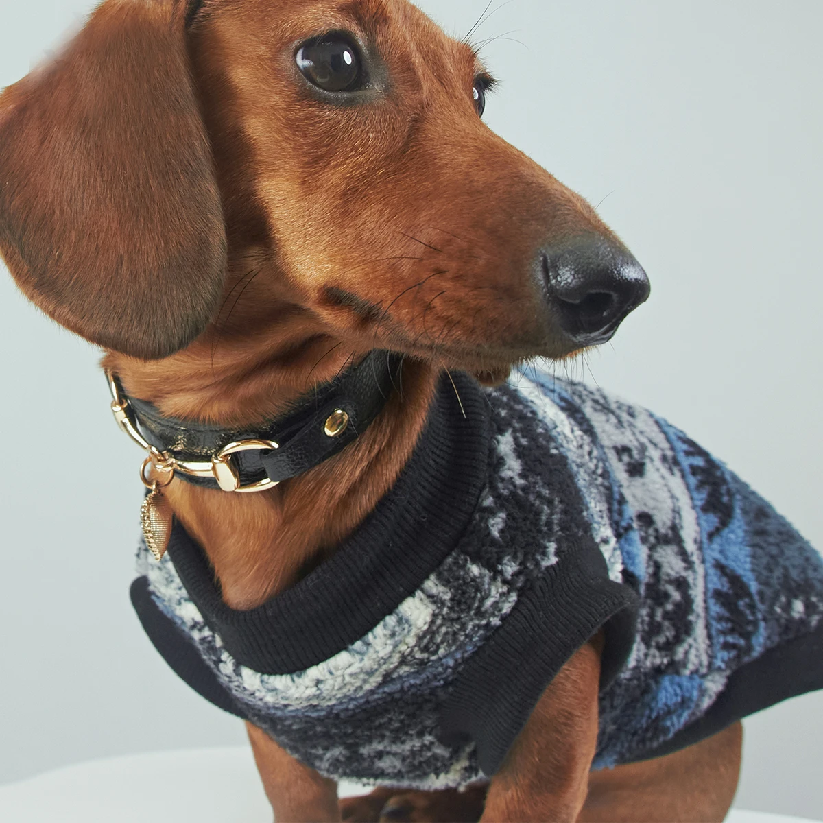 Suéter bohemio cálido para perros pequeños y medianos, abrigo suave de manga corta de invierno para perros tejón, disfraz de vacaciones para perros salchicha - imagen 3