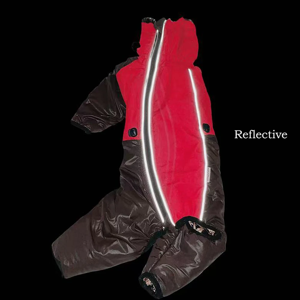 Chaqueta invierno cuello alto para galgo italiano, whippet y bedlington - imagen 5