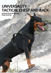 Arnés sin tirar acolchado para perro – Reflectante con asa