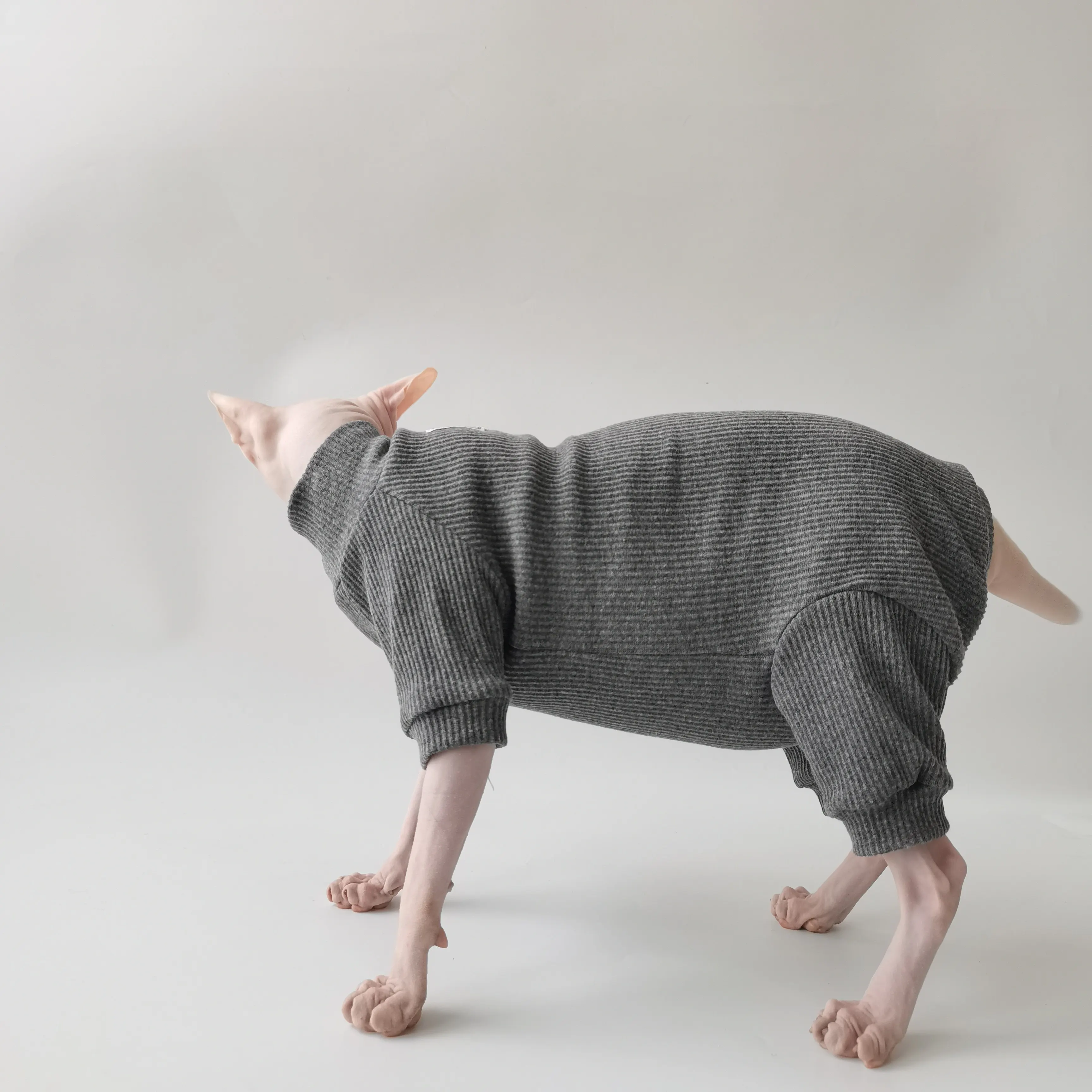 Prenda para gatitos
