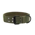 Green Dog Collar