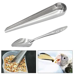 Cuchara de acero inoxidable para alimentación de aves y mascotas