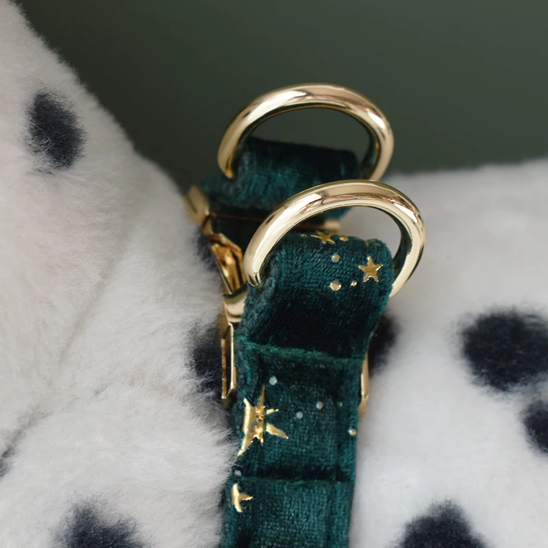 Green Harnes Collares de identificación personalizados para cachorros, logotipo grabado gratis para perros pequeños, medianos y grandes, American Cocker Spaniel Star 04 - imagen 3