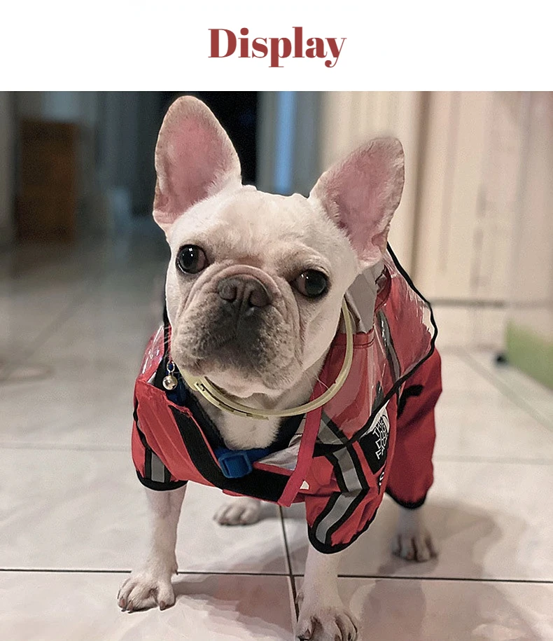 Chubasquero impermeable con capucha para perro, traje de Mascota de cuatro patas para perros medianos y grandes, de fácil limpieza, lavable - imagen 5