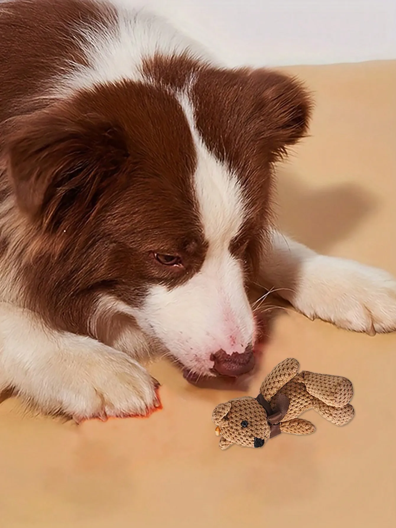 Osito de peluche con lazo – Juguete interactivo para perros y gatos - imagen 5