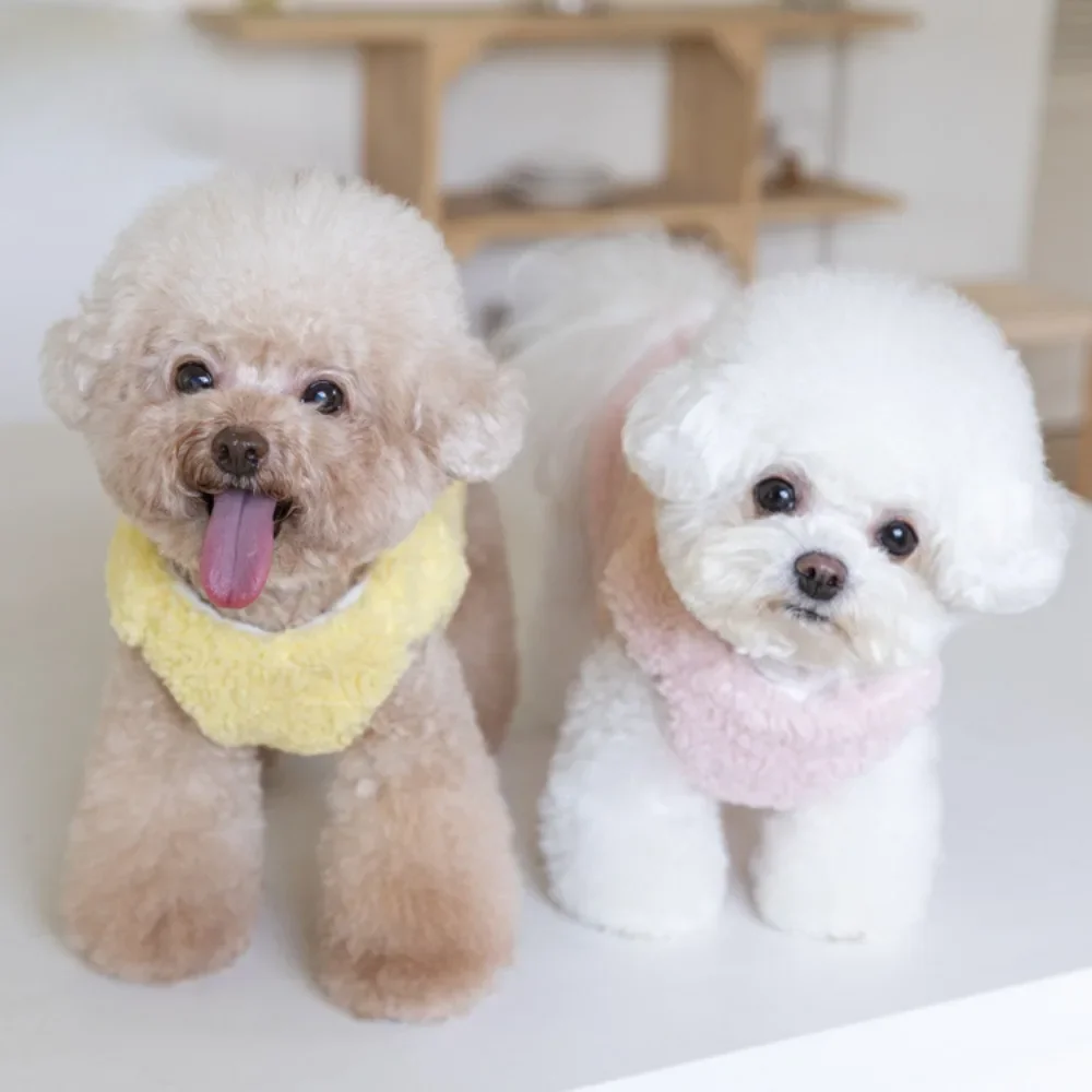 Ropa gruesa de felpa cálida para perros, abrigo de piel de cordero, ropa para gatos y perros, ropa para perros pequeños y cachorros, otoño e invierno - imagen 2