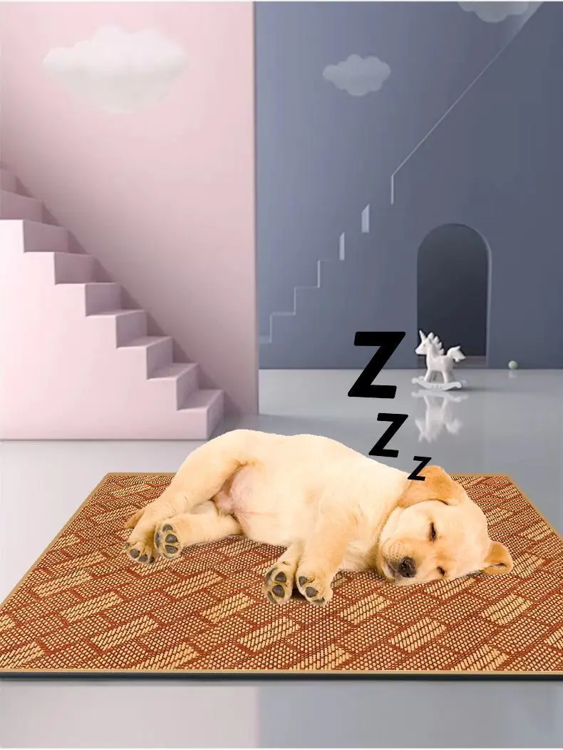 a515643a-0422-45ba-956b-955a16c64d5f.jpe