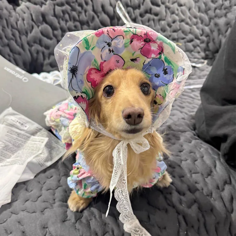Conjunto de falda y sombrero para perro Teckel, primavera-verano - imagen 2