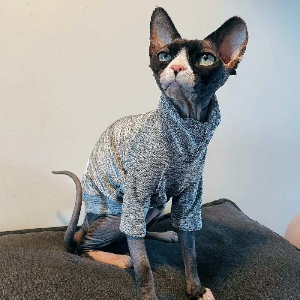 Sphynx Cat Camiseta gris de cuello alto en primavera Manga larga Abrigo suave para gatos sin pelo Ropa de estar por casa respetuosa con la piel para gatitos perros