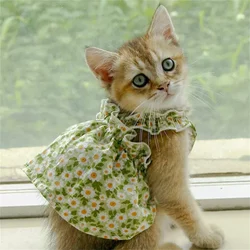 Vestido de verano para gato Sphynx – Ropa ligera y fresca