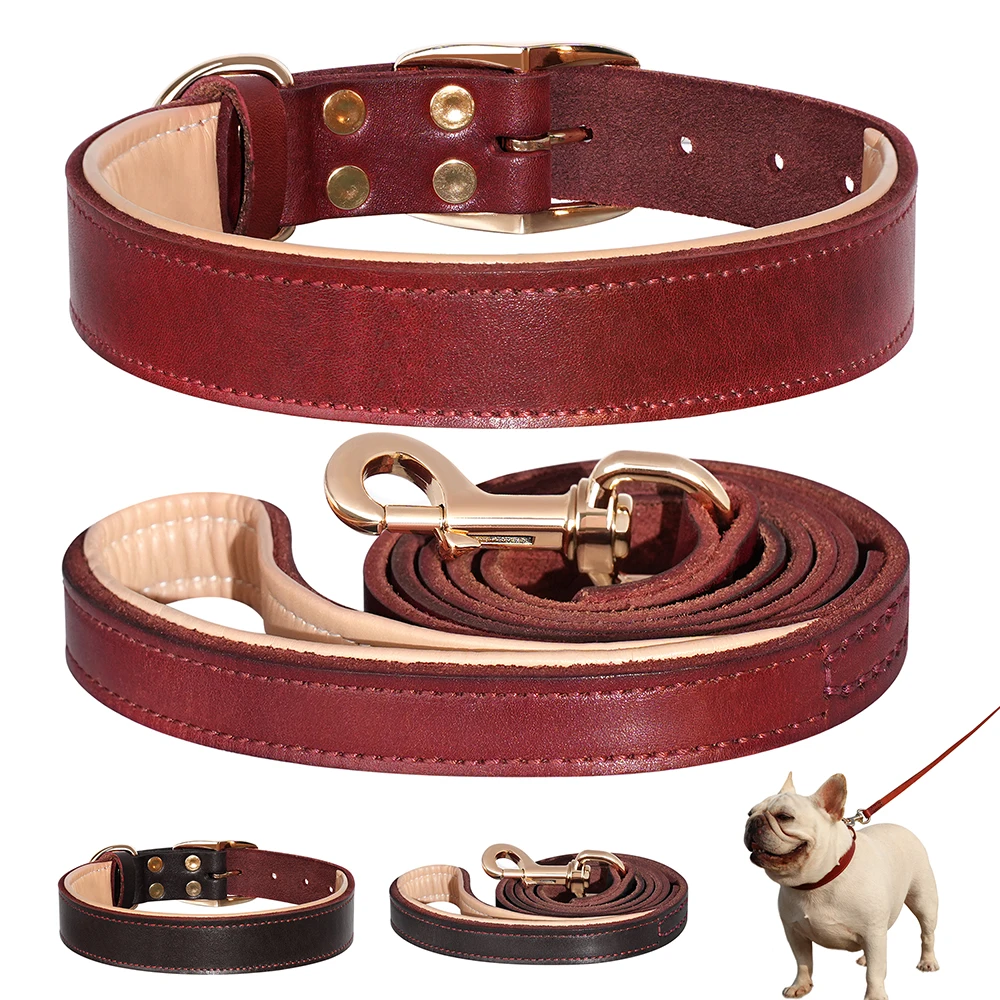 Juego de Collar y correa de cuero auténtico para perros, collares de cuero ajustables, cinturón de plomo para perros pequeños, medianos y grandes, duraderos
