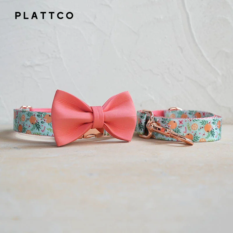 Bow Tie Collar Leash