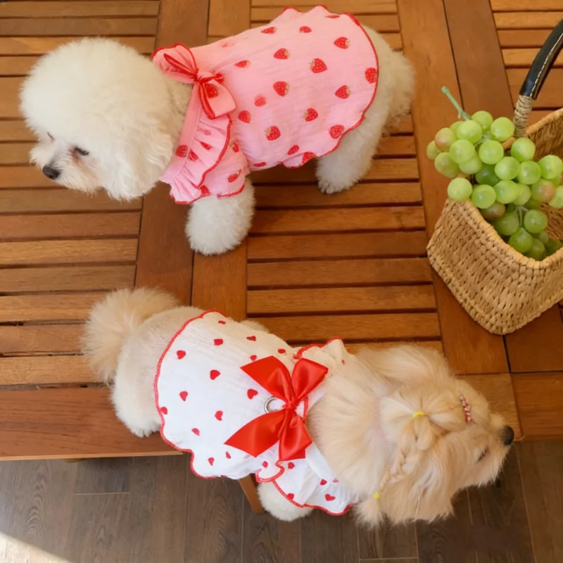 Conjunto de ropa para perros pequeños – vestido de algodón con lazo