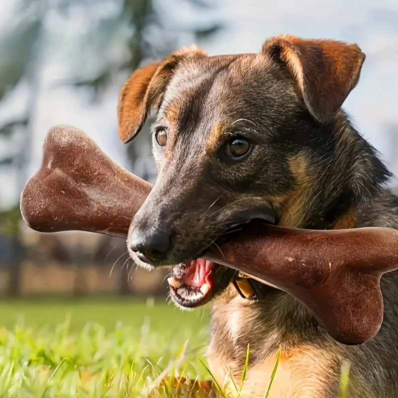 Hueso masticable de carne para perros – Juguete resistente