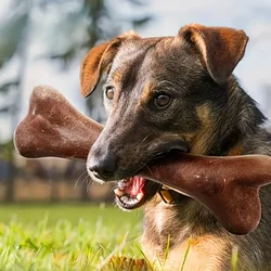 Hueso masticable de carne para perros – Juguete resistente