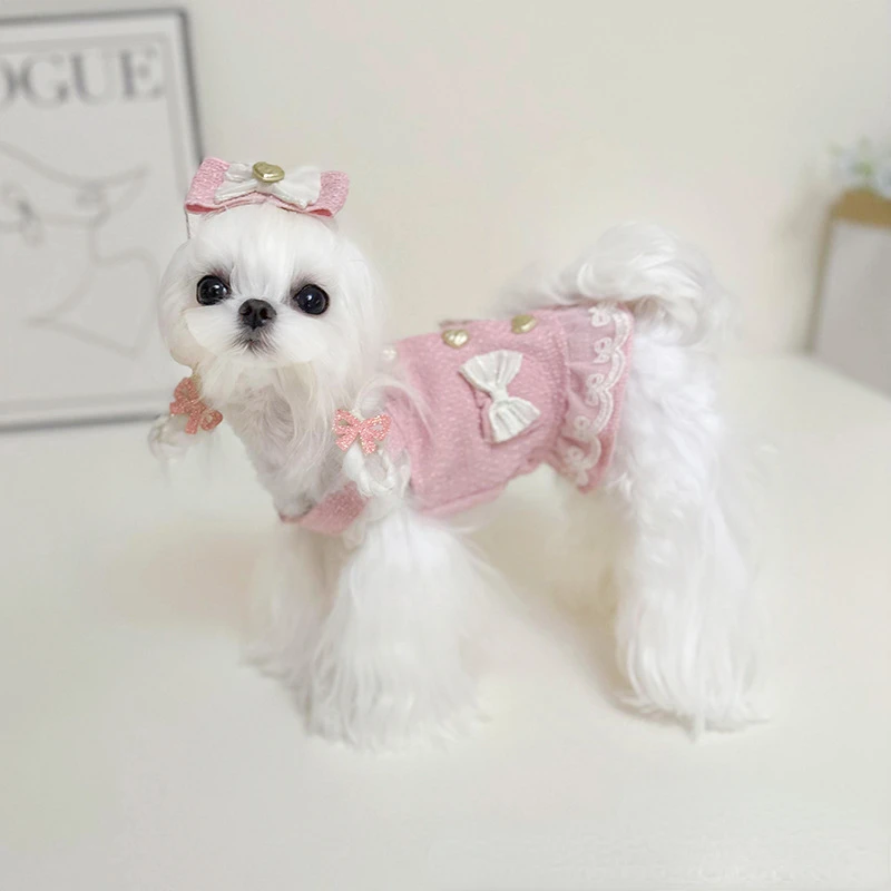Vestido de encaje con hebilla de corazón para perro y gato, ropa con tirantes para perros pequeños, ropa para cachorros, Primavera, Otoño e Invierno - imagen 5
