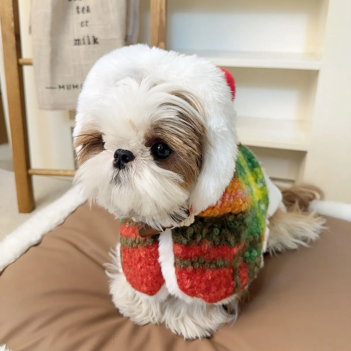 Capa con capucha de otoño e invierno para mascotas, capa navideña de peluche Schnauzer, abrigo grueso para perros, ropa para perros pequeños, ropa para cachorros - imagen 3