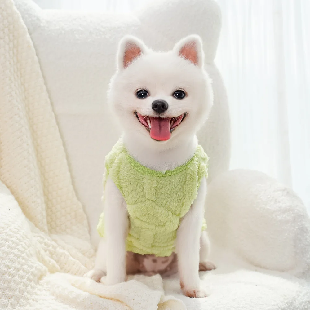 Sudadera para perro en color verde pastel