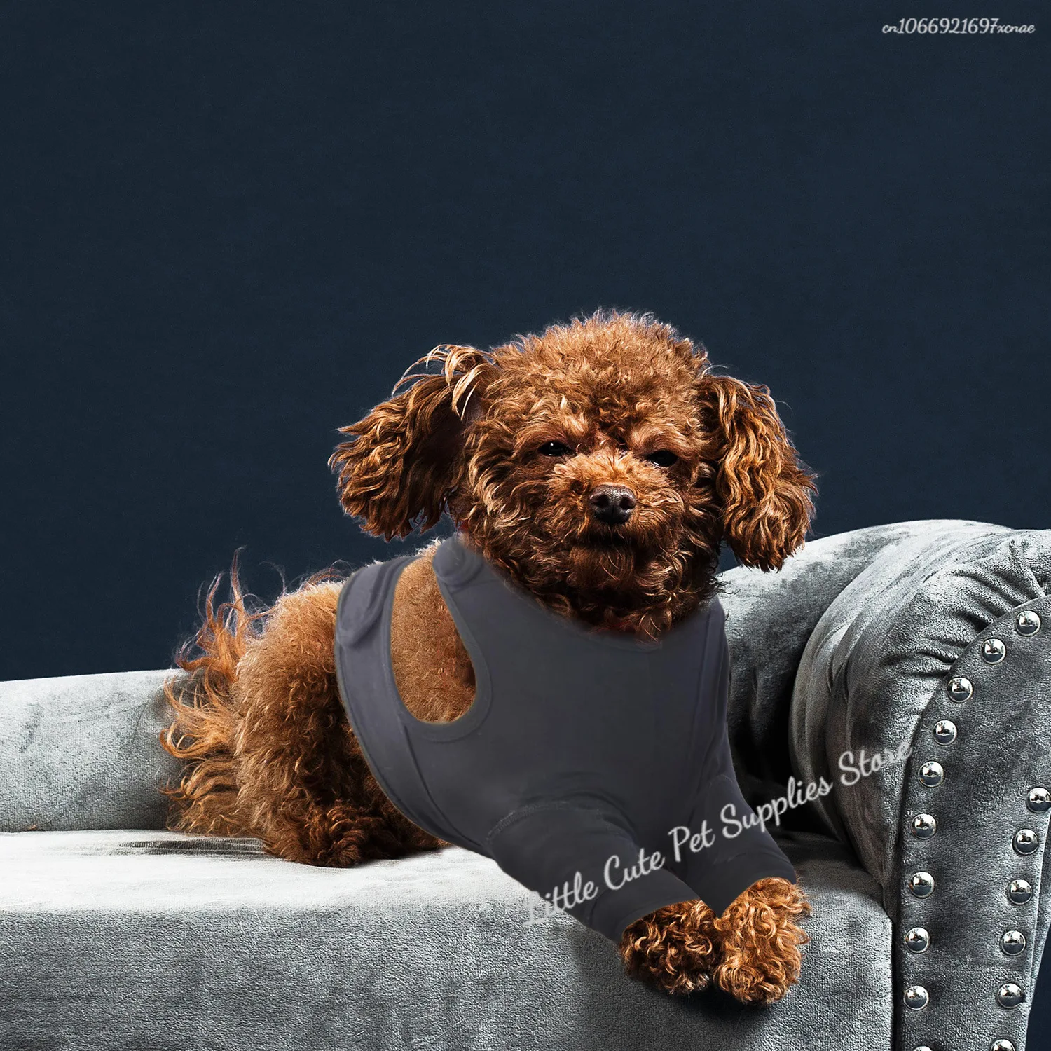 Funda para codo de perro para extremidades heridas, promueve comodidad, envoltura para pierna delantera, envoltura para pierna delantera de mascotas, Protector de articulaciones, mangas para perros - imagen 5