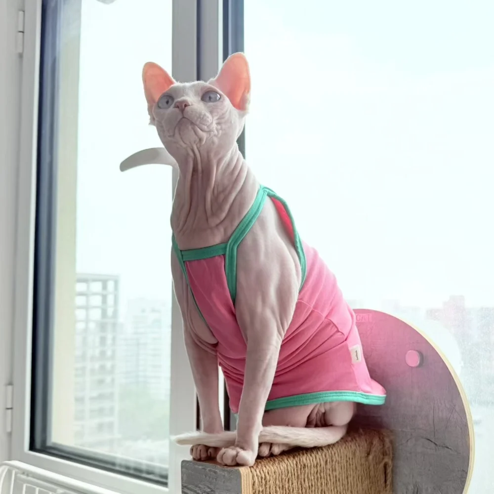 Camiseta camisola de algodón rosa para gato sin pelo en verano, chaleco verde suave y bonito para Devon Rex, abrigo fino sin mangas para gato Sphynx - imagen 3