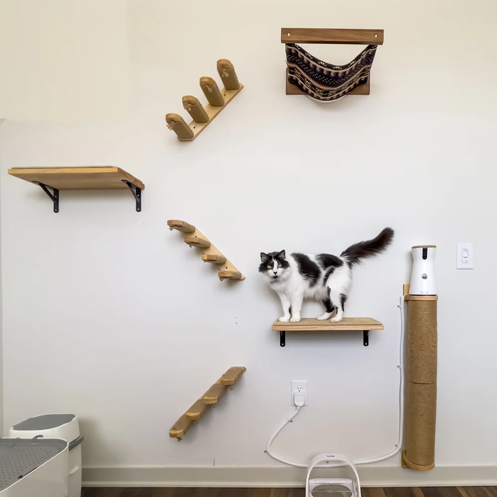 Pared de actividades para gatos montada en la pared con escaleras, perchas y hamaca, poste rascador, muebles de interior para gatos para escalar - imagen 3