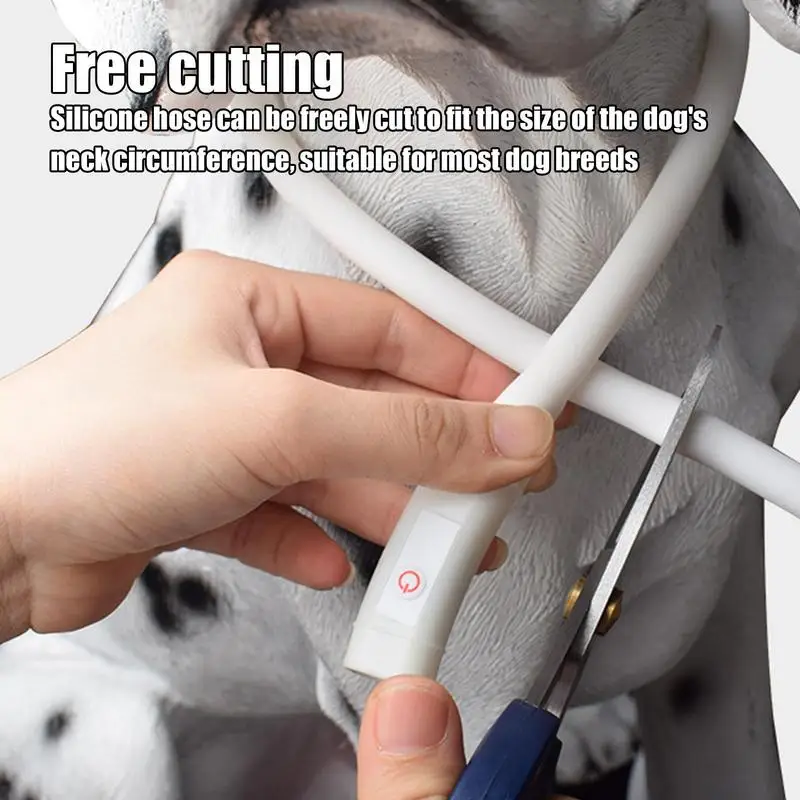 Collar de seguridad con luz Led para perro, Collar de TPU recargable por USB para mascotas, Collar de seguridad reutilizable para perros grandes, medianos y pequeños - imagen 2