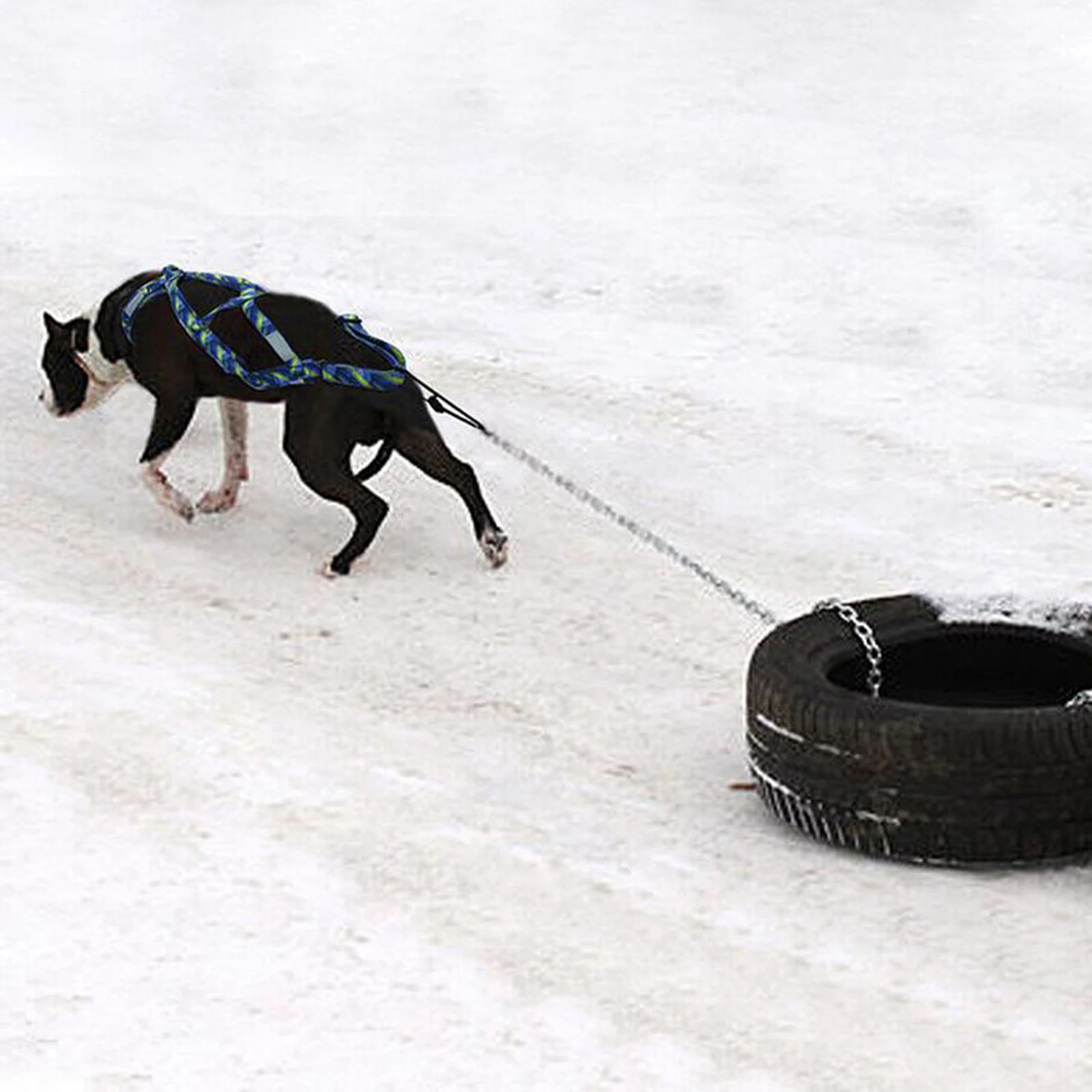 Arnés de tracción para perros, arnés reflectante para sobremesa de mascotas, arnés para Skijoring, chaleco para tirar de peso para perros grandes y grandes, suministros de entrenamiento para mascotas - imagen 4
