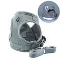 Gray Harness Set