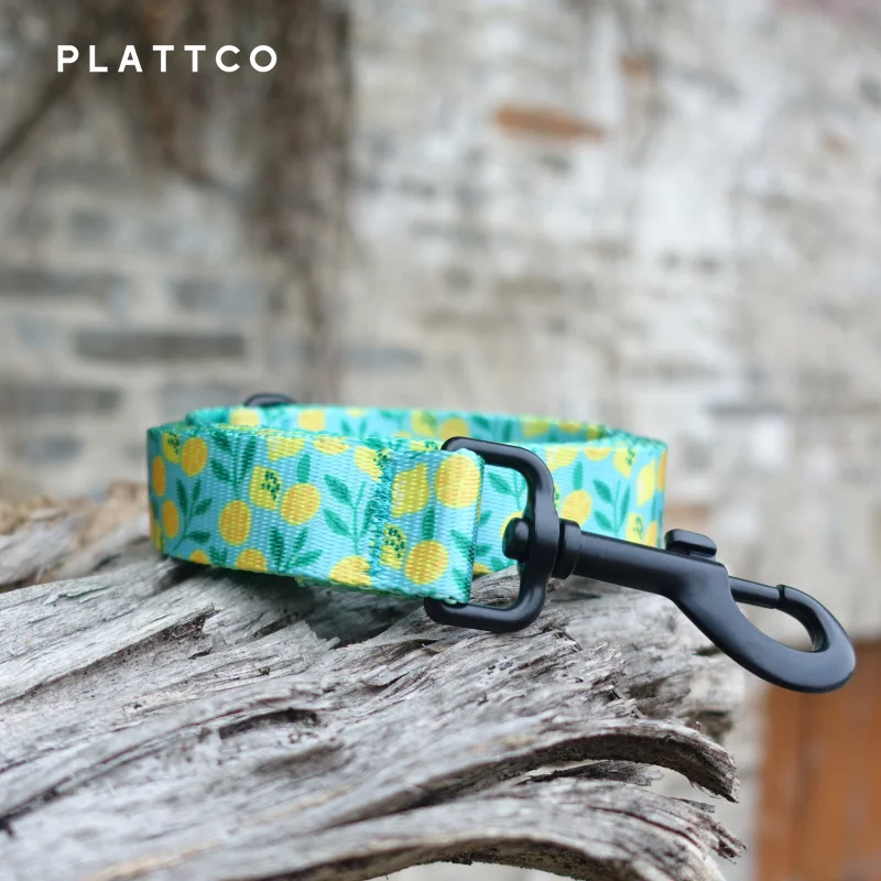 PLATTCO correa de perro de nailon de imitación suave con tecnología de limón con impresión en color personalizada duradera para perros pequeños, medianos y grandes, 5 tamaños PDL329 - imagen 5