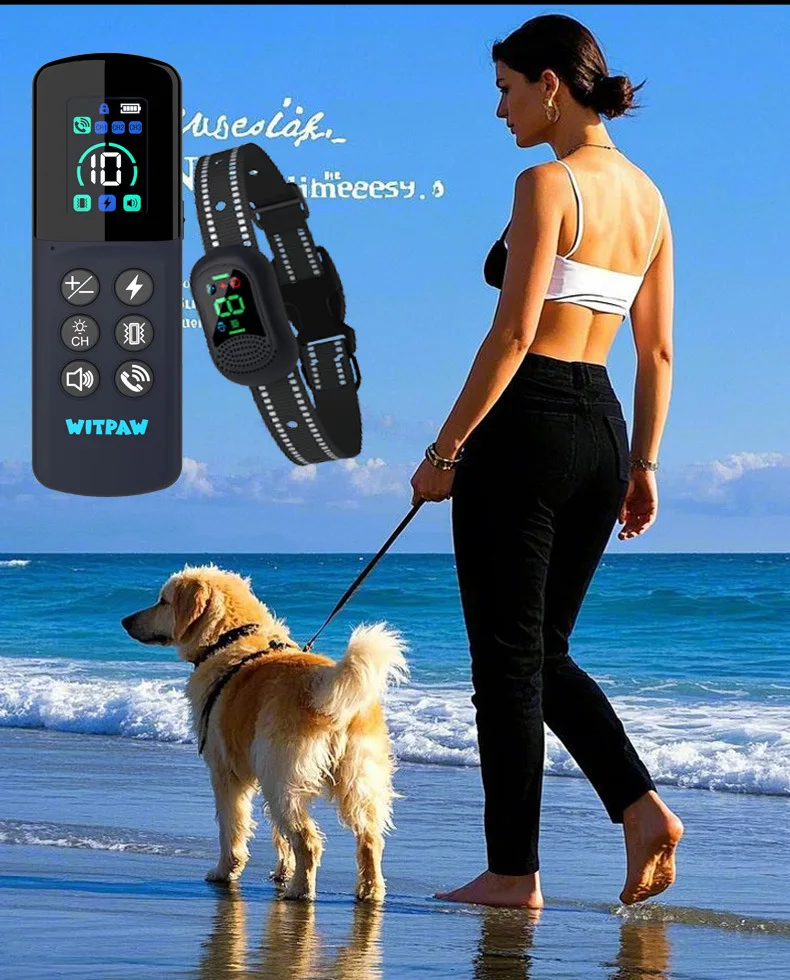 Control remoto con pantalla