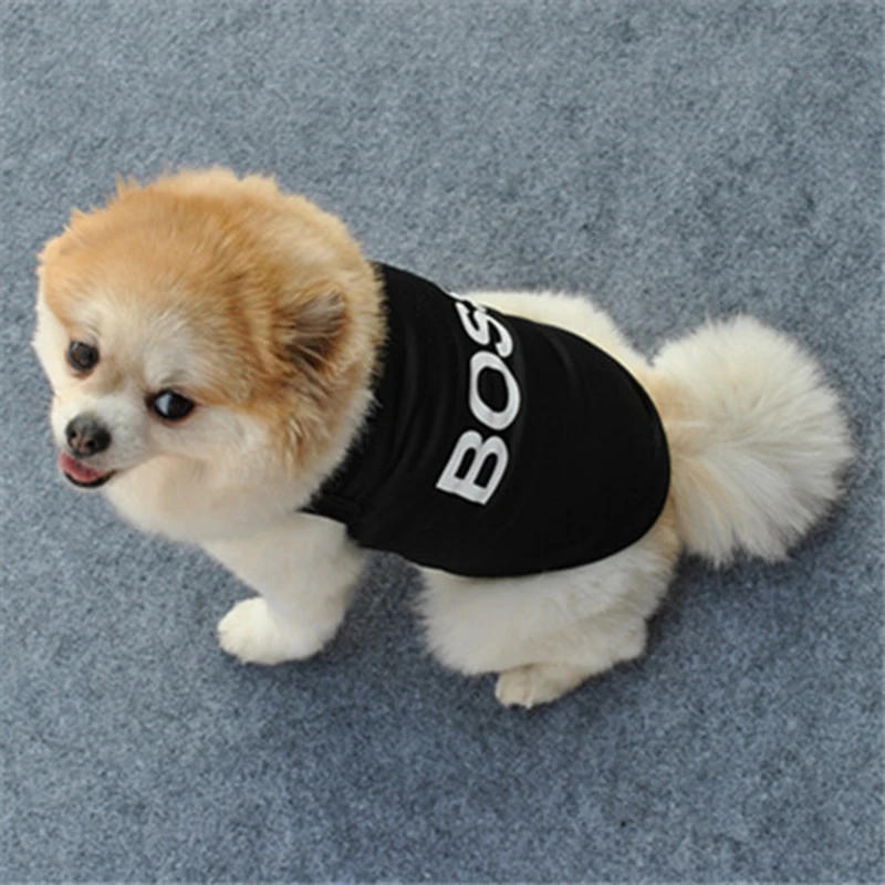 Ropa de seguridad para perros, ropa de verano para mascotas, chaleco para perros pequeños, Chihuahua, Yorkshire, cachorros, gatos, precio bajo, camiseta para mascotas, disfraz - imagen 3