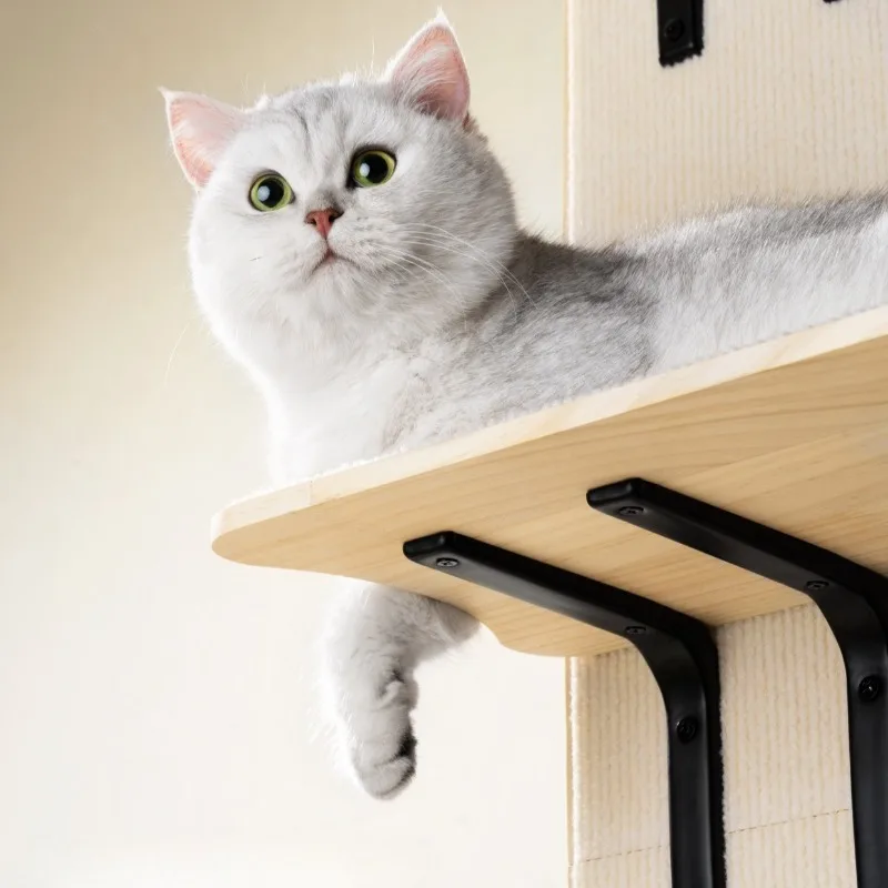 Tipo colgante detrás de la puerta, árboles para gatos, poste de escalada para gatitos, camas de torre, muebles para mascotas, tablero rascador para el hogar, juguetes, suministros para gatos - imagen 5