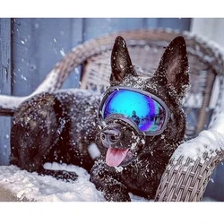 Gafas de sol para perros – Protección ocular ajustable contra viento