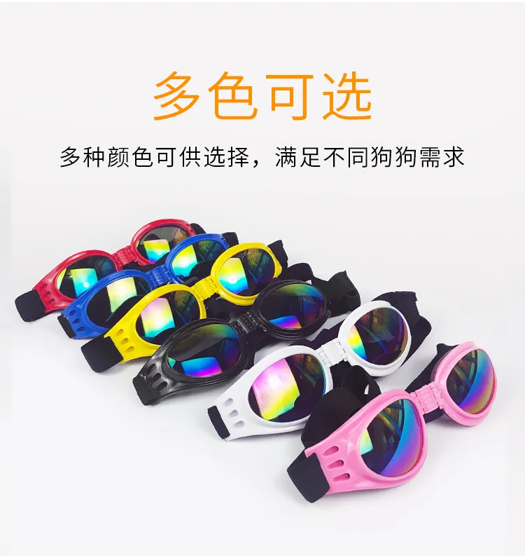 Detalle de las gafas de sol para perros