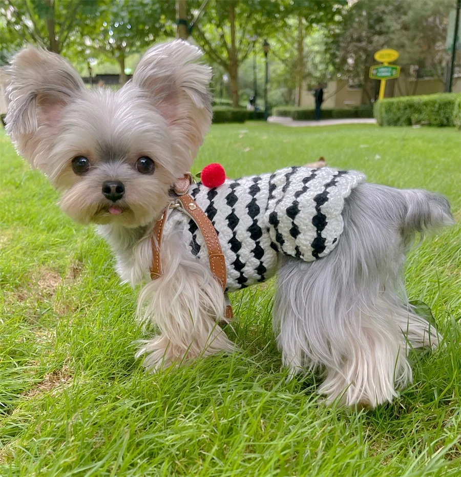 Vestido de cabestrillo para mascotas, suéter tejido a mano cálido para perros pequeños, color blanco y negro, ropa para perros Yorkshire, Otoño e Invierno - imagen 5