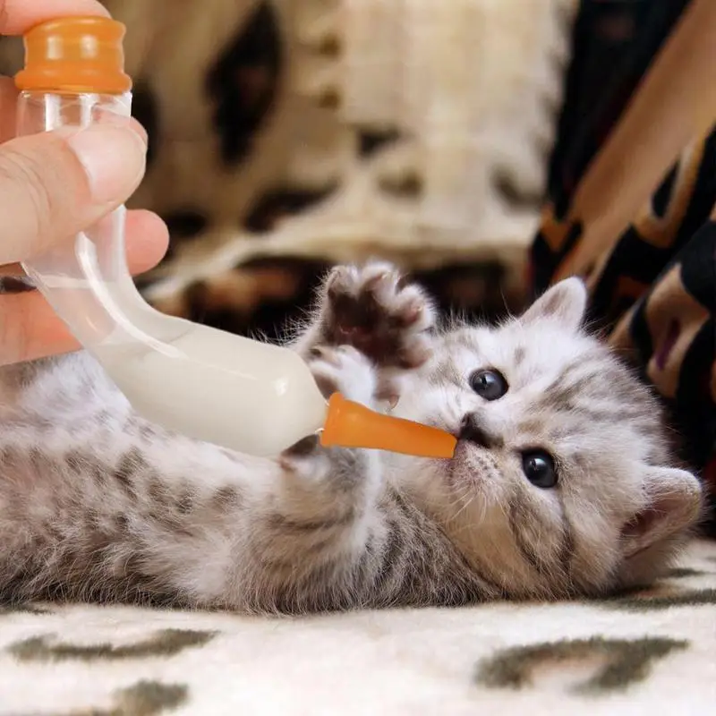 Jeringa para alimentación de gatos, tetina para alimentación de leche de mascotas con pezón, alimentación de enfermería, pezón y jeringas para cachorro de ardilla - imagen 5