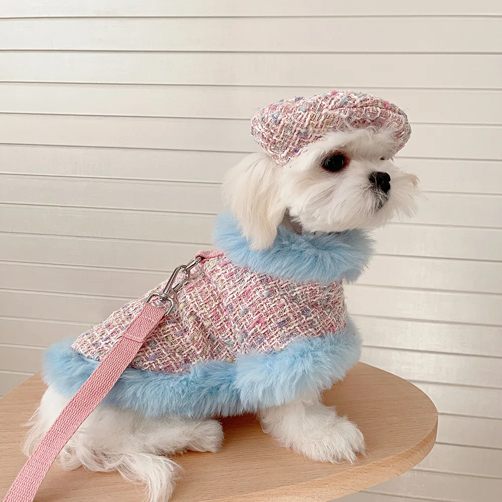 粉糖果蓝边 (11).jpeg