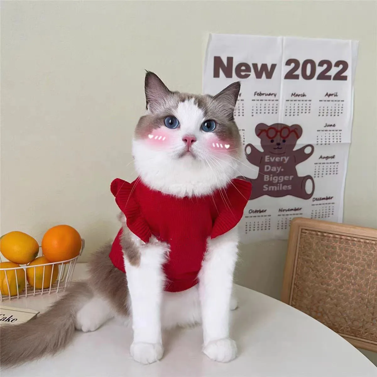 Suéter navidad para gatos y perros pequeños con lazo de princesa - imagen 3