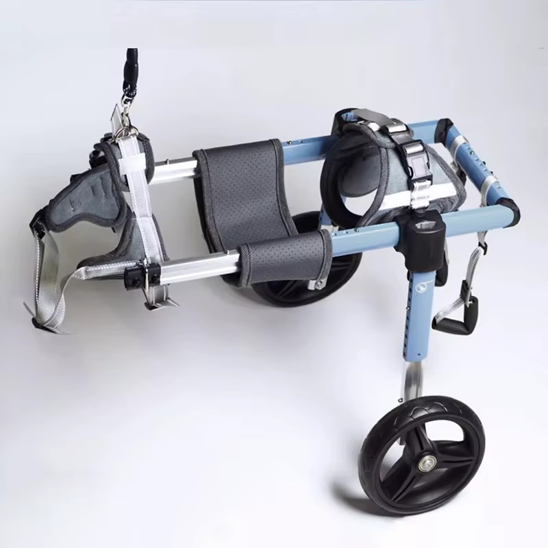 Silla de ruedas para perros con parálisis – Carrito de rehabilitación
