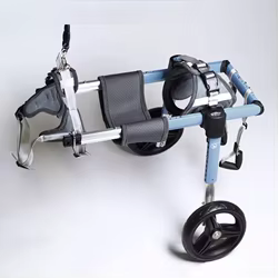 Silla de ruedas para perros con parálisis – Carrito de rehabilitación