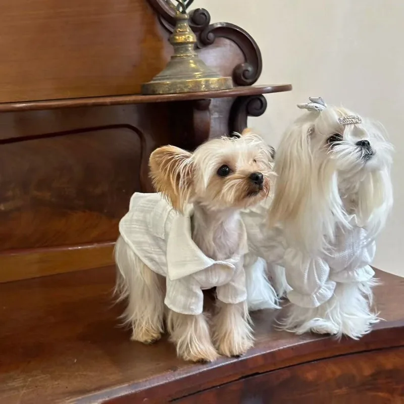 Vestido de princesa para mascotas, camisa de verano, falda de encaje, ropa cómoda para parejas de Yorkshire, vestidos finos para perros pequeños - imagen 4