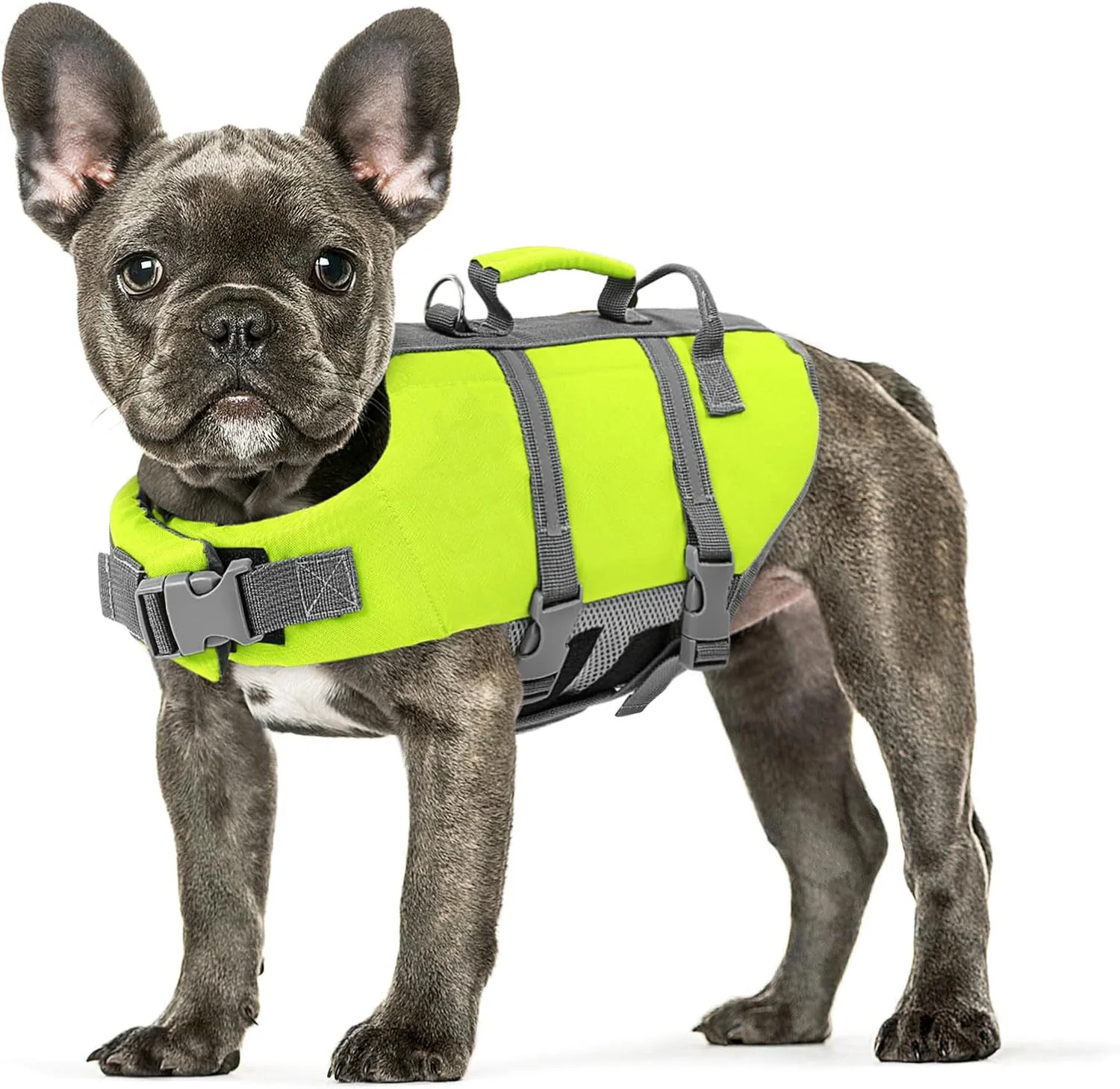 hmqViviiyNSAyin9WuaRt6t4HaNMYugRXKvX