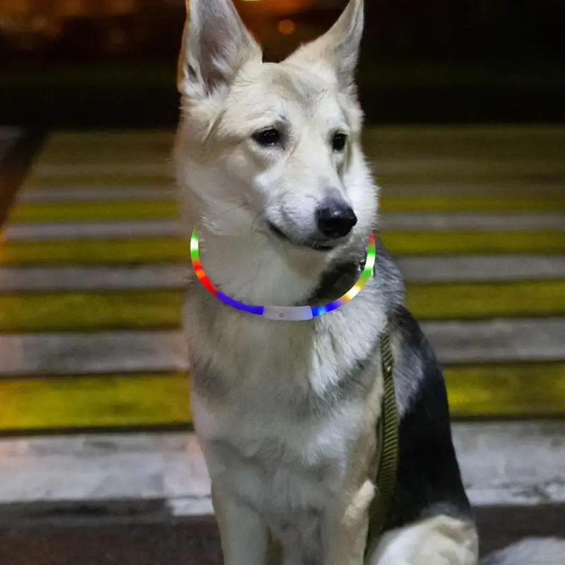 Collar de seguridad con luz Led para perro, Collar de TPU recargable por USB para mascotas, Collar de seguridad reutilizable para perros grandes, medianos y pequeños - imagen 4