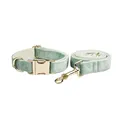 collar and leash set