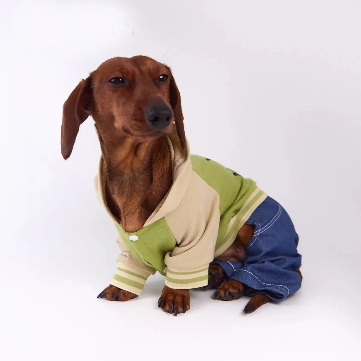 Pantalón vaquero para perros salchicha – uniforme baseball primavera - imagen 2