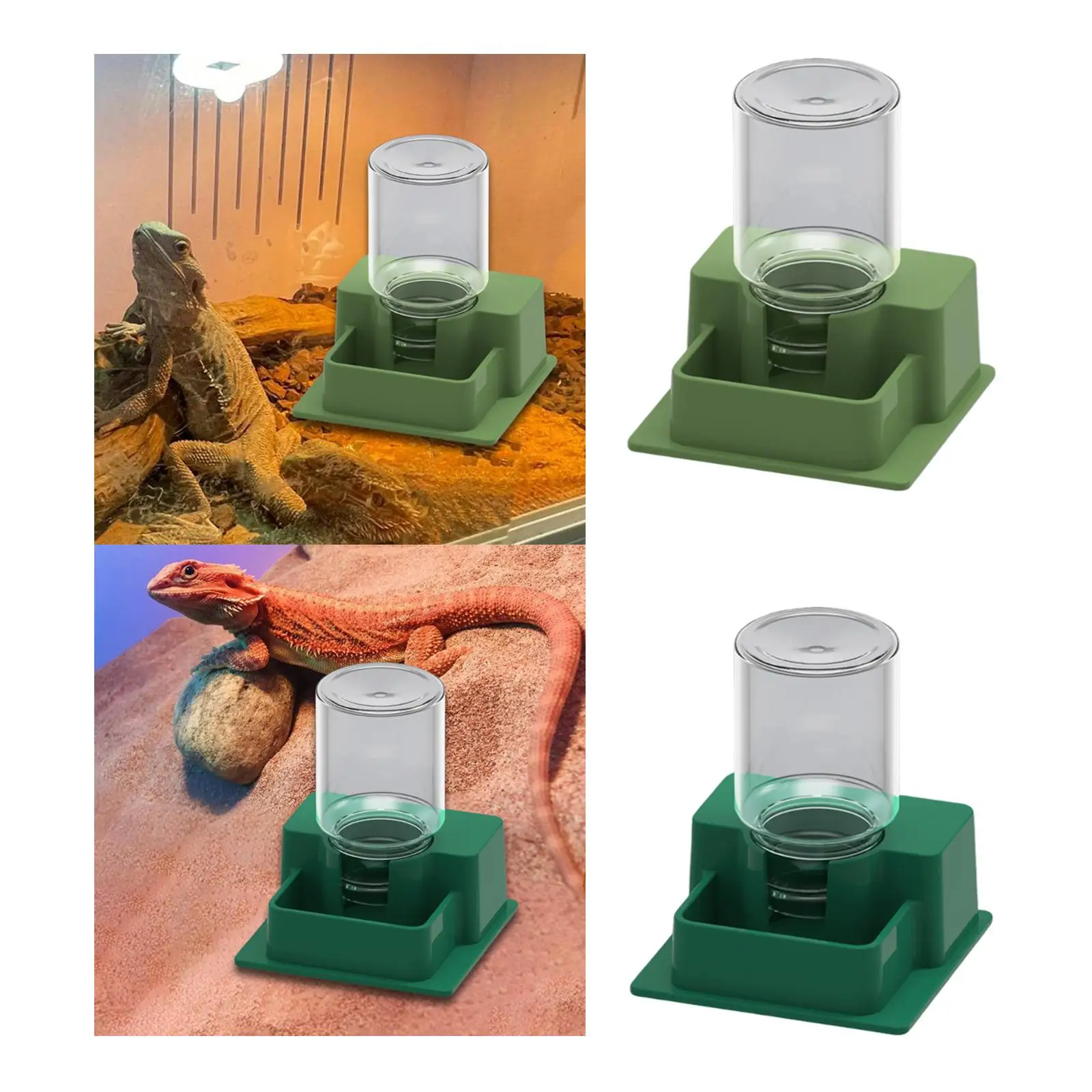 Bebedero automático reptiles: tortugas, gecos, ranas y camaleones