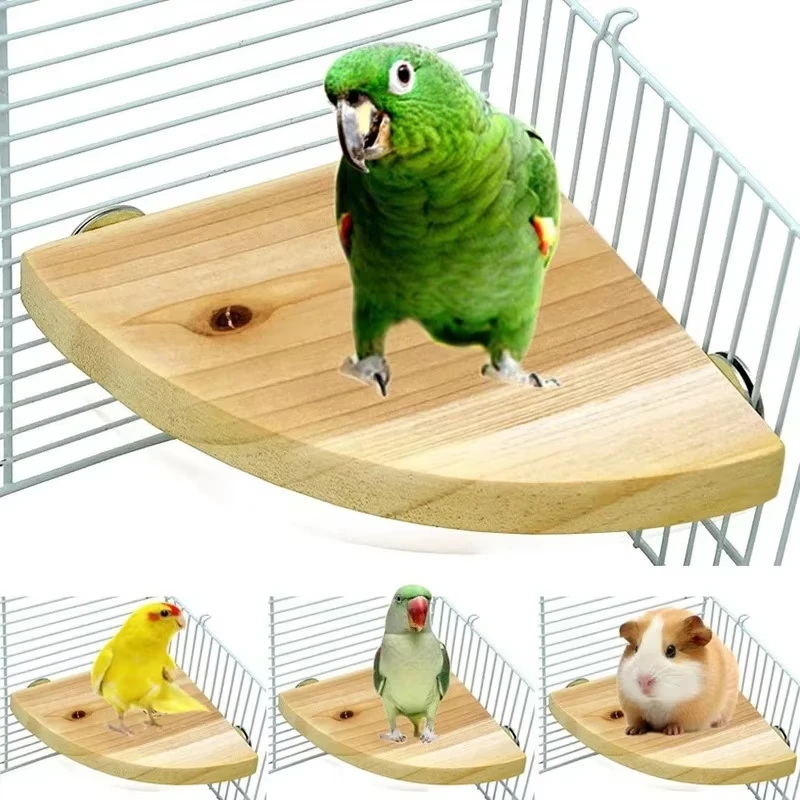 Soporte de percha de madera para loros y pájaros, plataforma rectangular en forma de abanico, tablero de soporte para periquitos, hámster, gerbil, jaula para ratas, suministros de jaula para pájaros - imagen 2