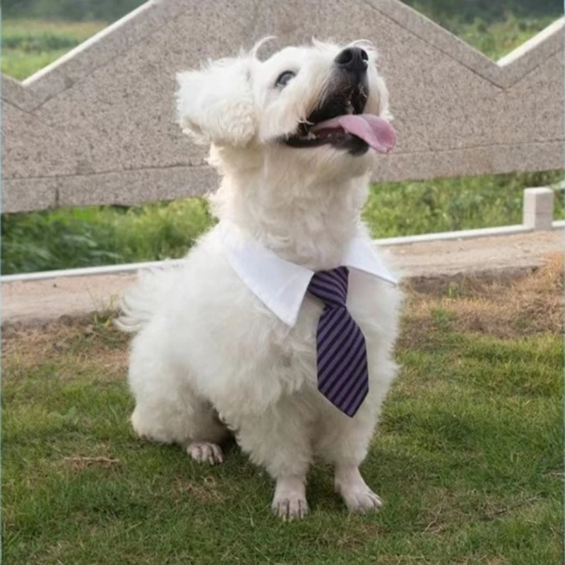 Collar de perro con pajarita a rayas, corbata formal ajustable para gatos y perros pequeños, accesorio de disfraz para mascotas para fiesta de boda - imagen 5